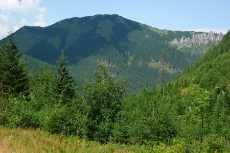 Landscape nature the national park photo