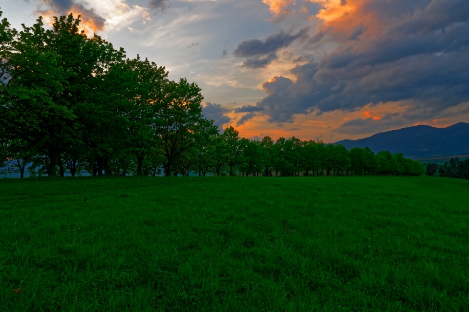 Green the sky sky photo