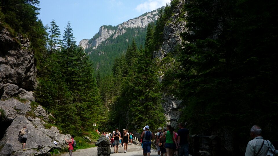 Landscape nature the national park