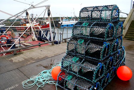 Fishing seafood harbor photo