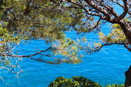 The french riviera riviera water photo