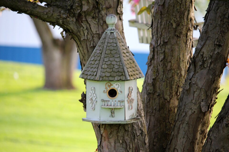 Garden spring nest