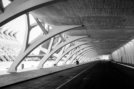 Calatrava valencia arts and sciences photo