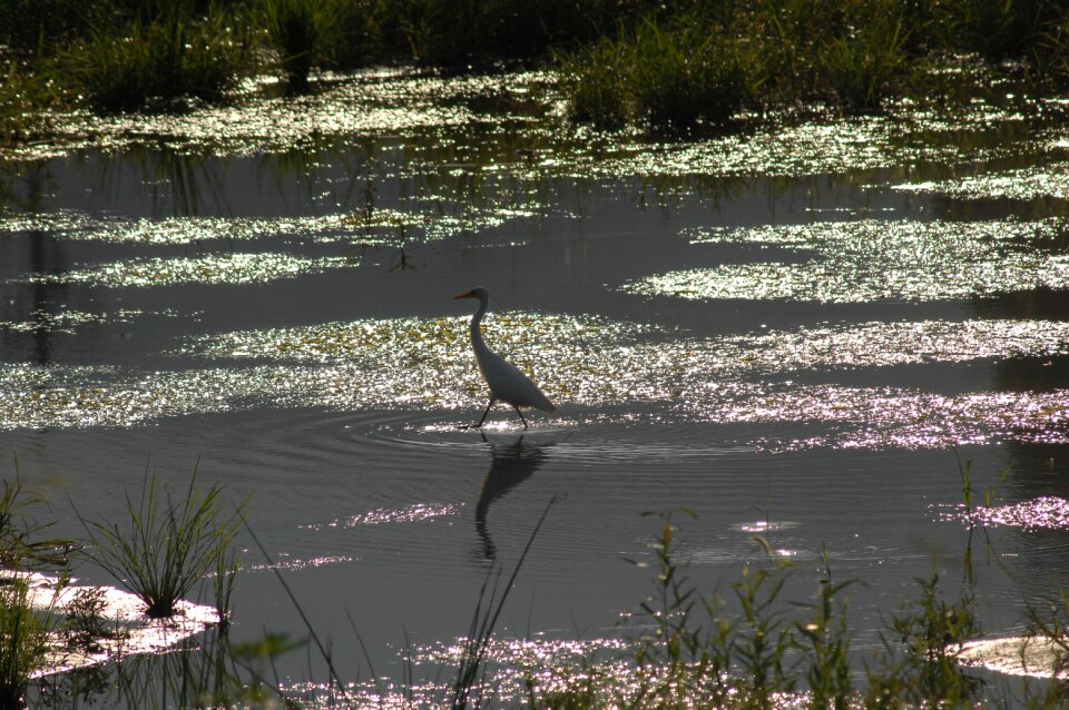 River reflect light