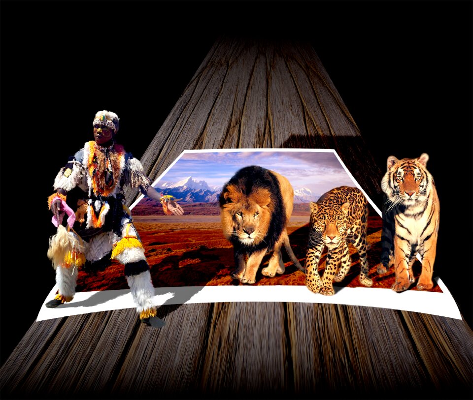 Animals carnivorous feline