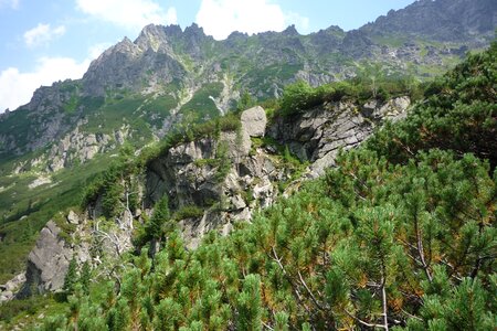 Landscape nature the national park photo