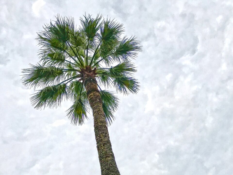 Beach cloudiness hell