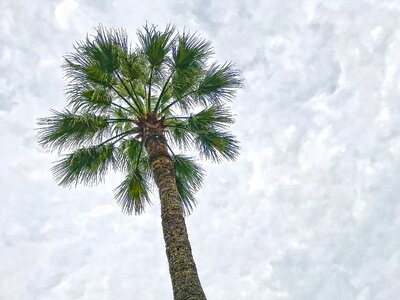 Beach cloudiness hell