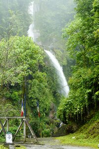 Landscape natural freshness