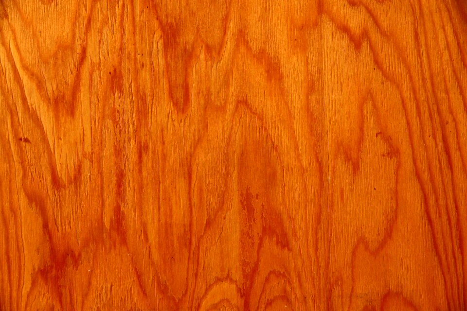 Plywood wood texture slice