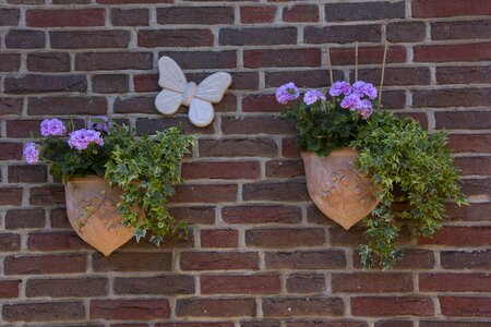 Wall flower box stone wall photo