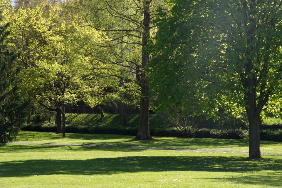 Landscape park green