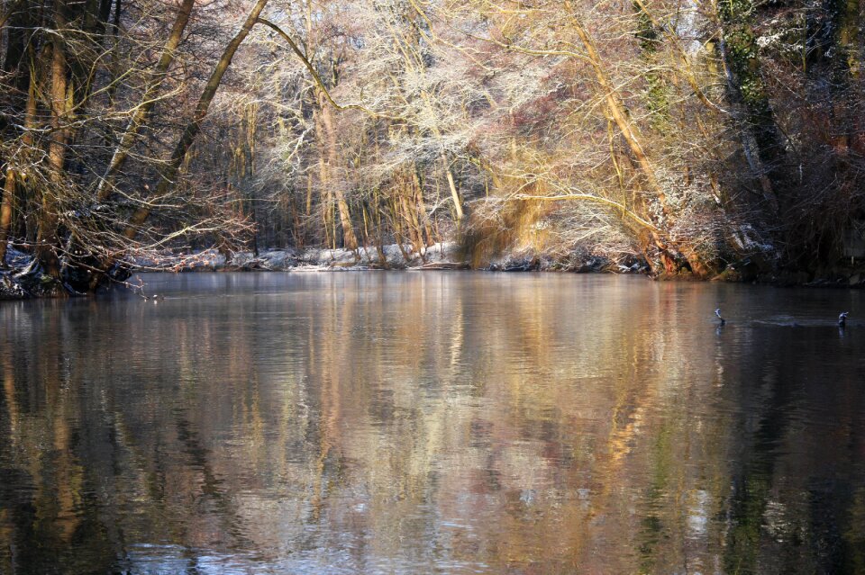 Nature wintry landscape