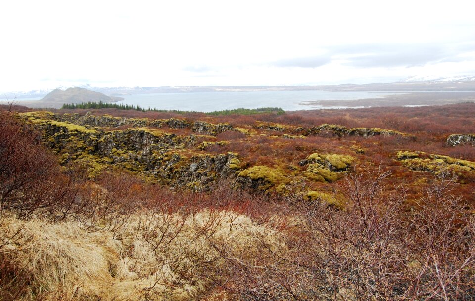 Iceland the tectonic plates Free photos