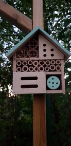 Wooden cottage spring nature