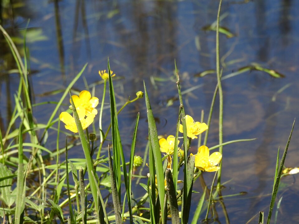 Beach water nature photo