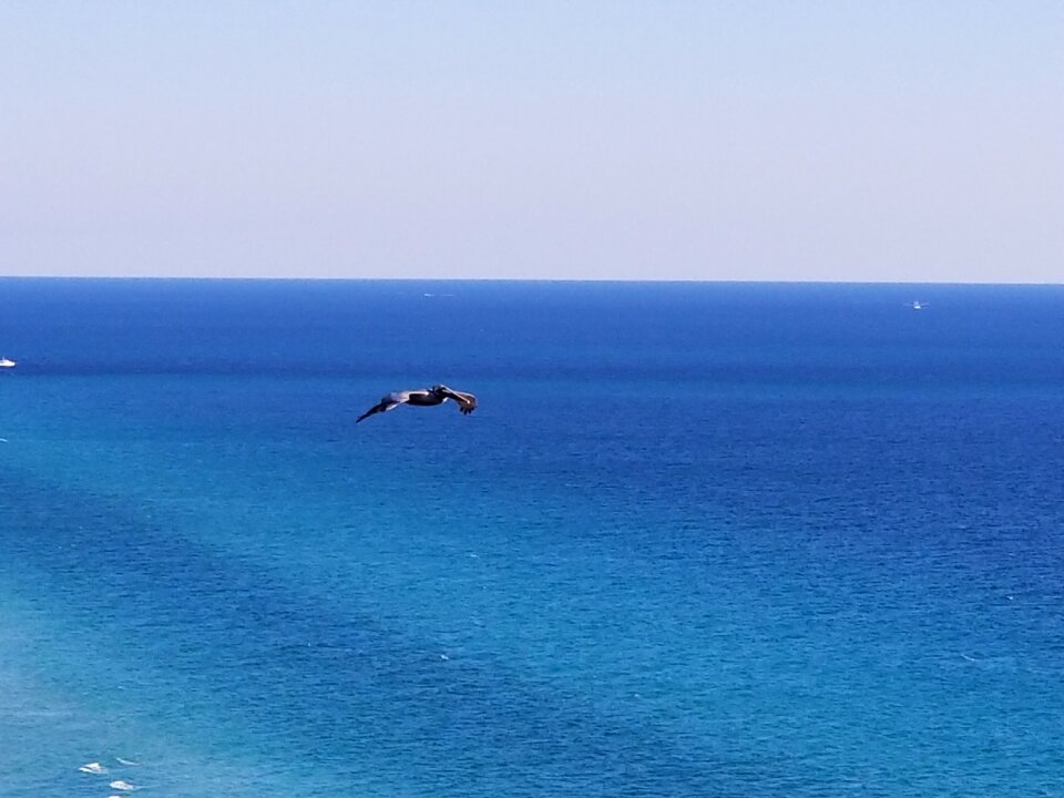 Panama city beach florida