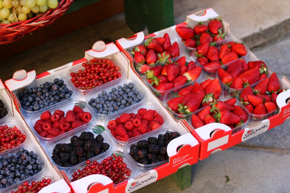Blueberry strawberry Free photos