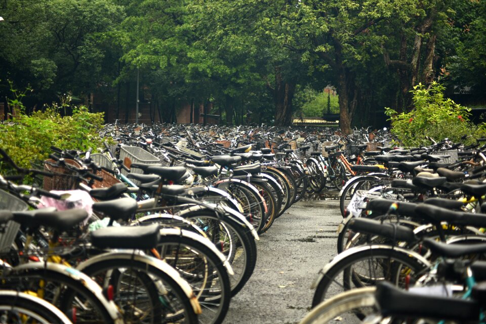 University bike iron horse