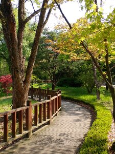 Outdoors summer garden