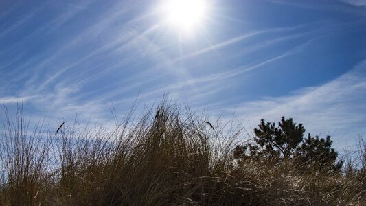 Beach backlighting baltic sea
