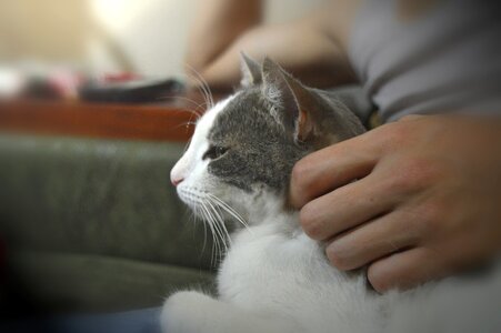 Hand mustache