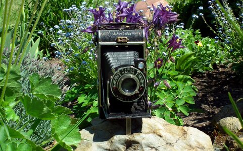 Photo lens flowers