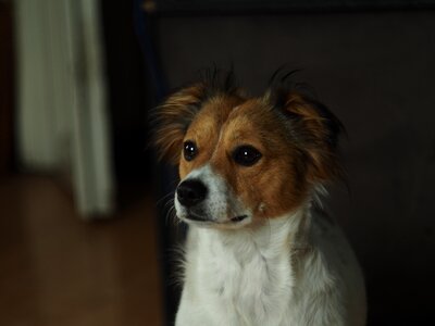 Friend snout eyes