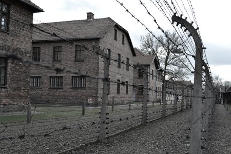 1939 birkenau war photo