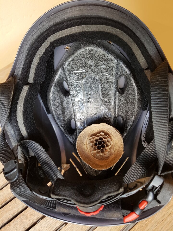 Honeycomb hexagon nature