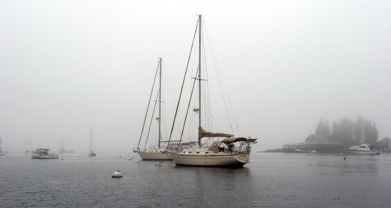 Harbor fog calm photo