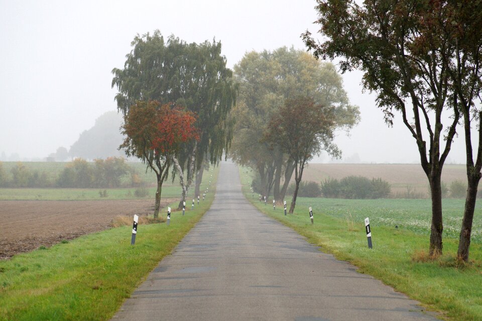 Autumn asphalt away