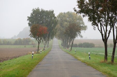 Autumn asphalt away photo