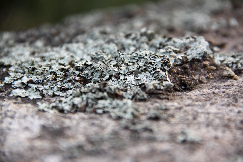 Nature of stone