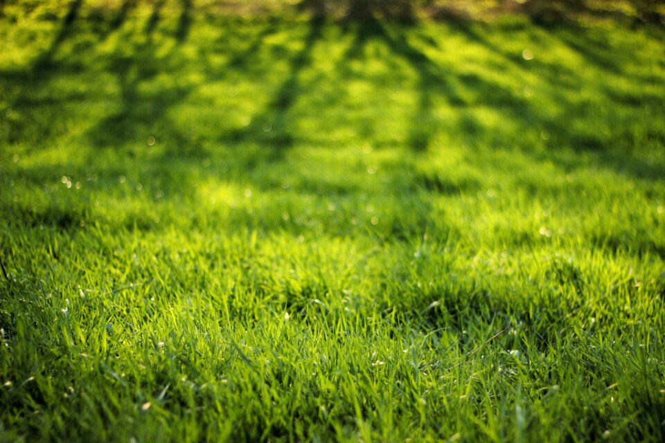 Spring the sun weather