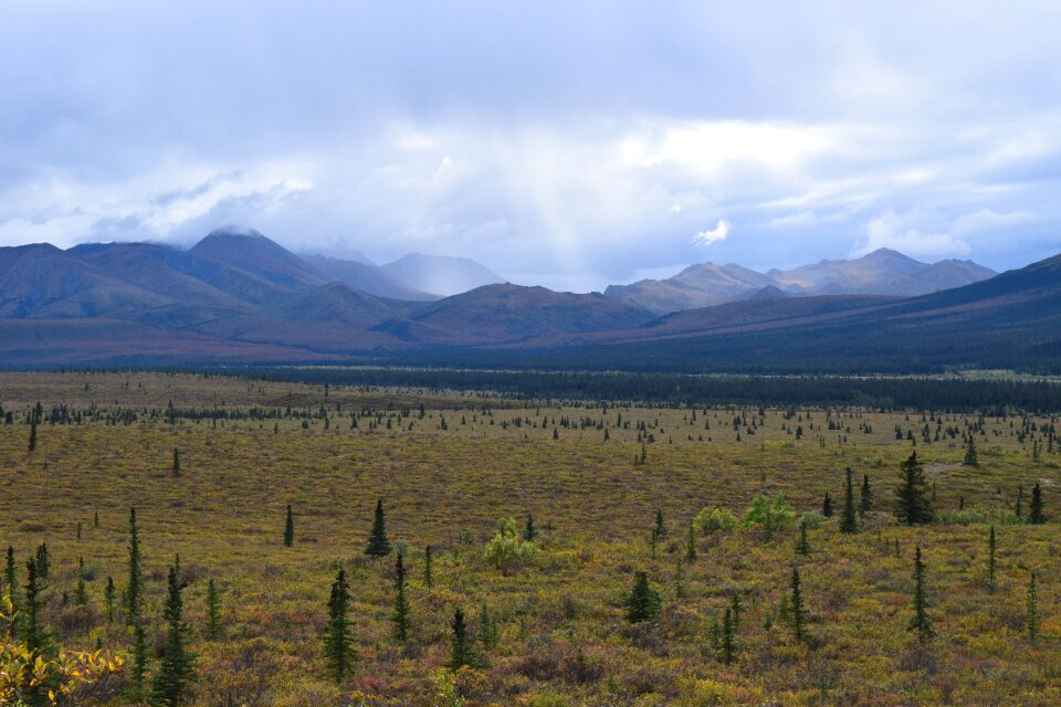 River valley tundra