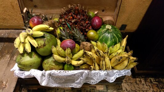 Fruits banana tree wild fruits
