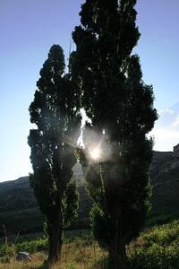 Green sun peering light mountain