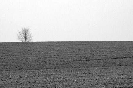 Fields earth arable photo