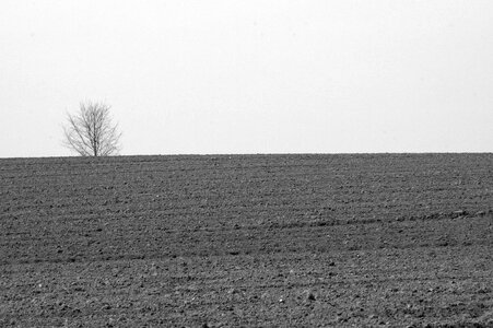Fields earth arable