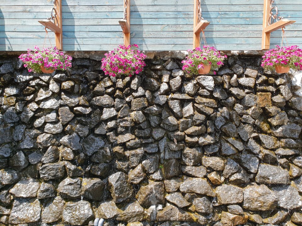 Nature garden wall