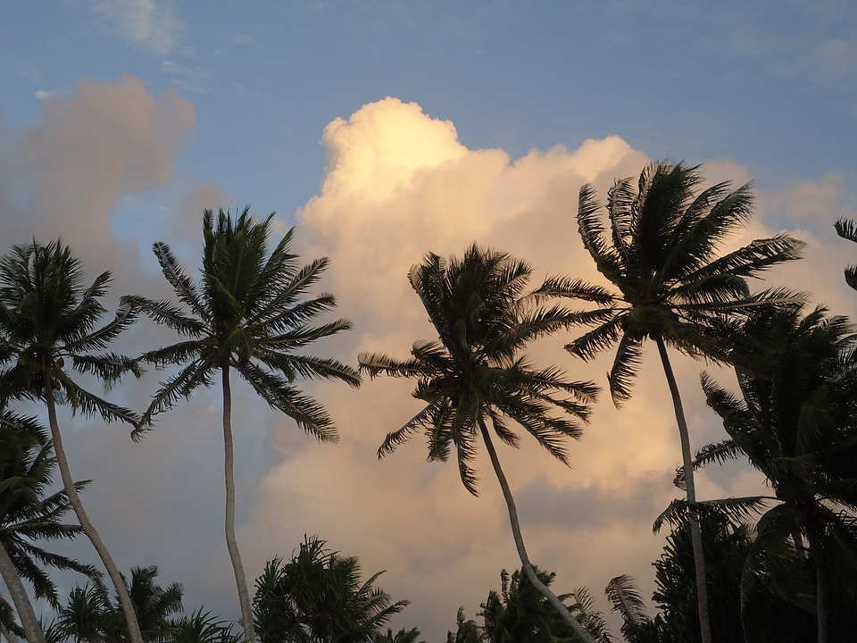 Sunset clouds twilight