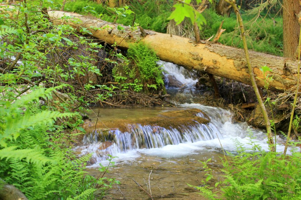 Clean mountain natural