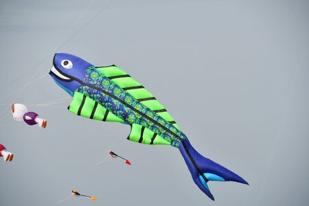 Contest kites Free photos