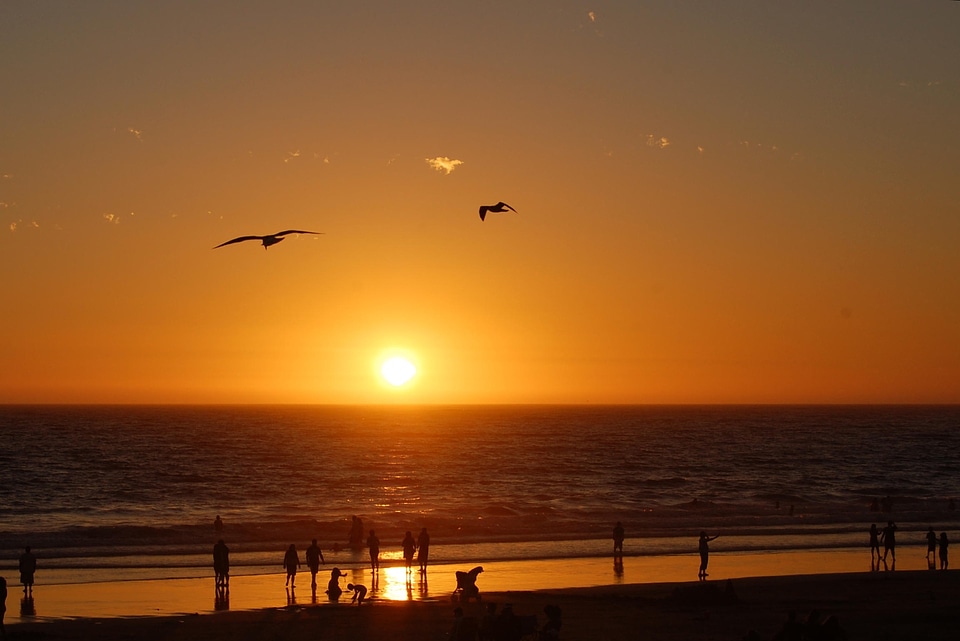 Ocean california usa