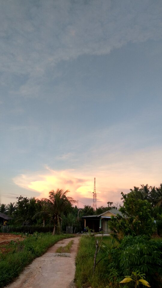 Orange afternoon