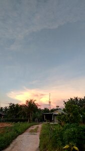 Orange afternoon