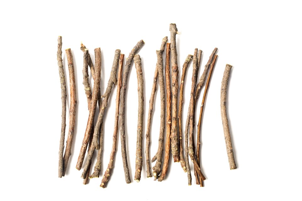 Branch chew dental