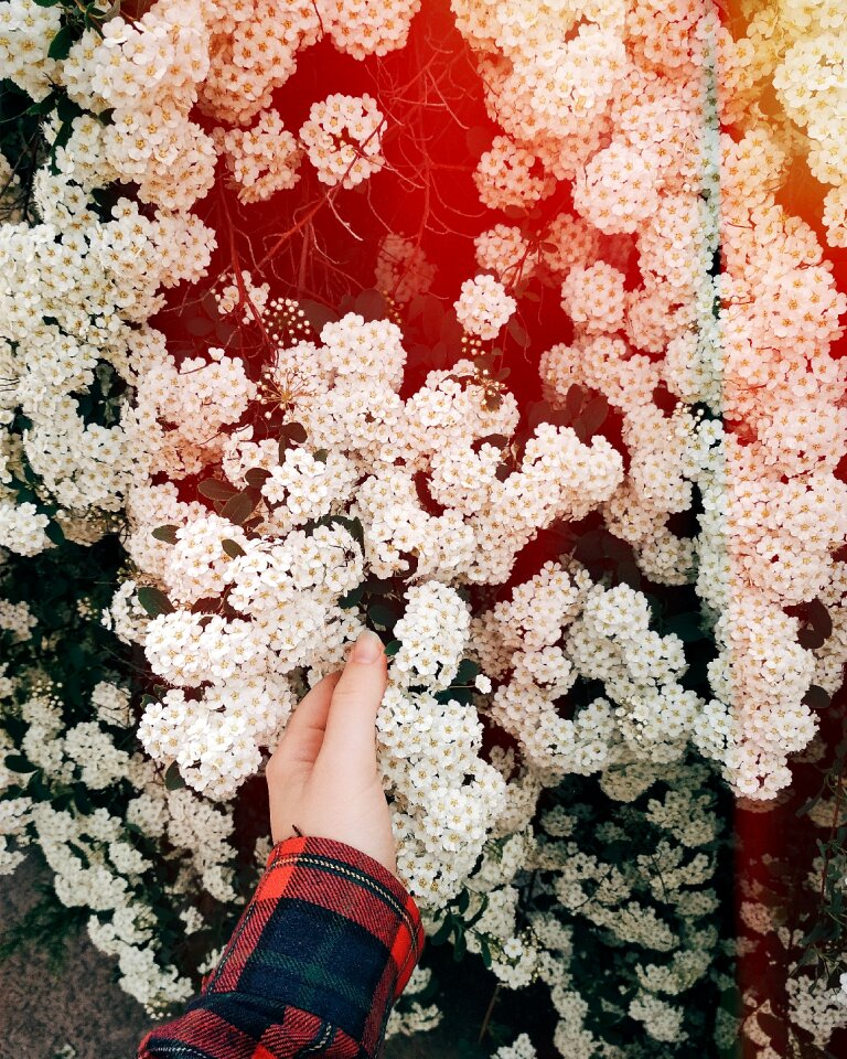 Spring flowers mood