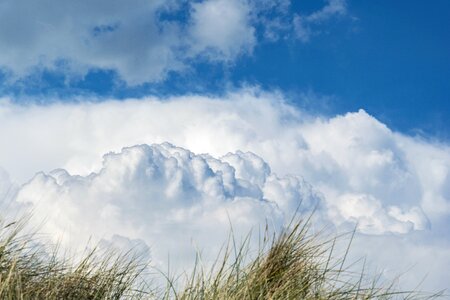 Nature sea a belt of dunes
